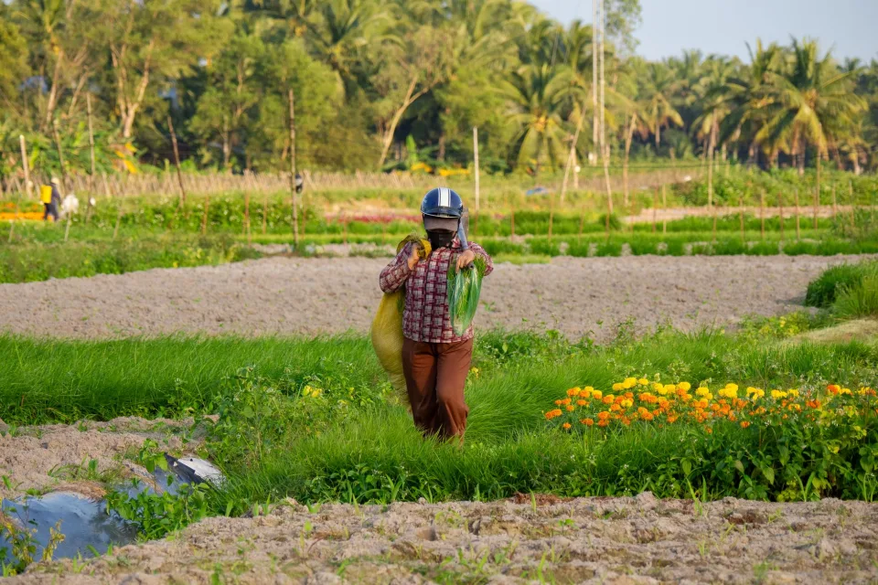 Khu ươm cây giống